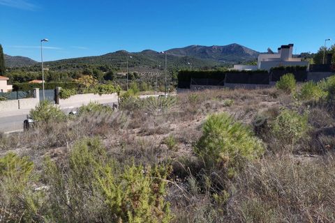 Terra a Biar, Alicante, Biar - € 129.500 | Ref: SF0365 - foto 6